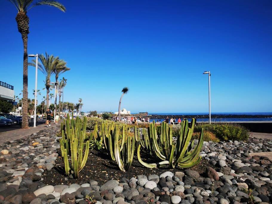 Estudio Ana Puerto de la Cruz  Extérieur photo
